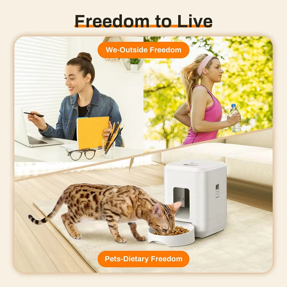 Petavista Automatic Pet Feeder Button / Wifi Version Auto Cat Food Dispenser Accessories Smart Control Pet Feeder for Cats Dog